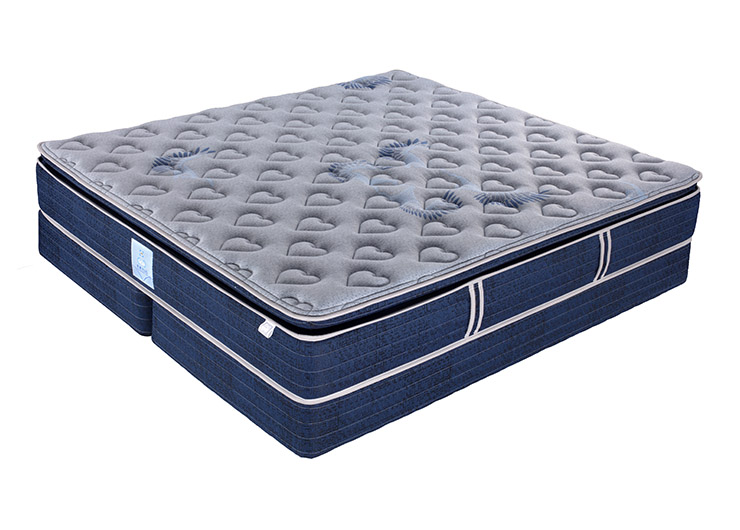 未标题-1_0002_img_00215 拷贝